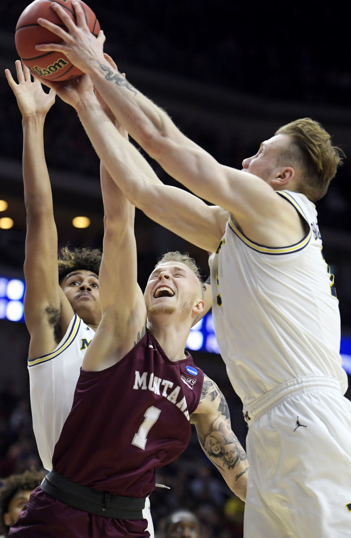 032219-mis-spt-griz-3-tm.JPG